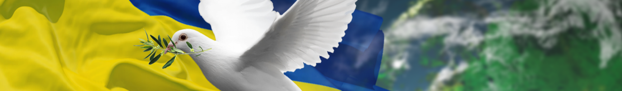 Goslar hilft der Ukraine